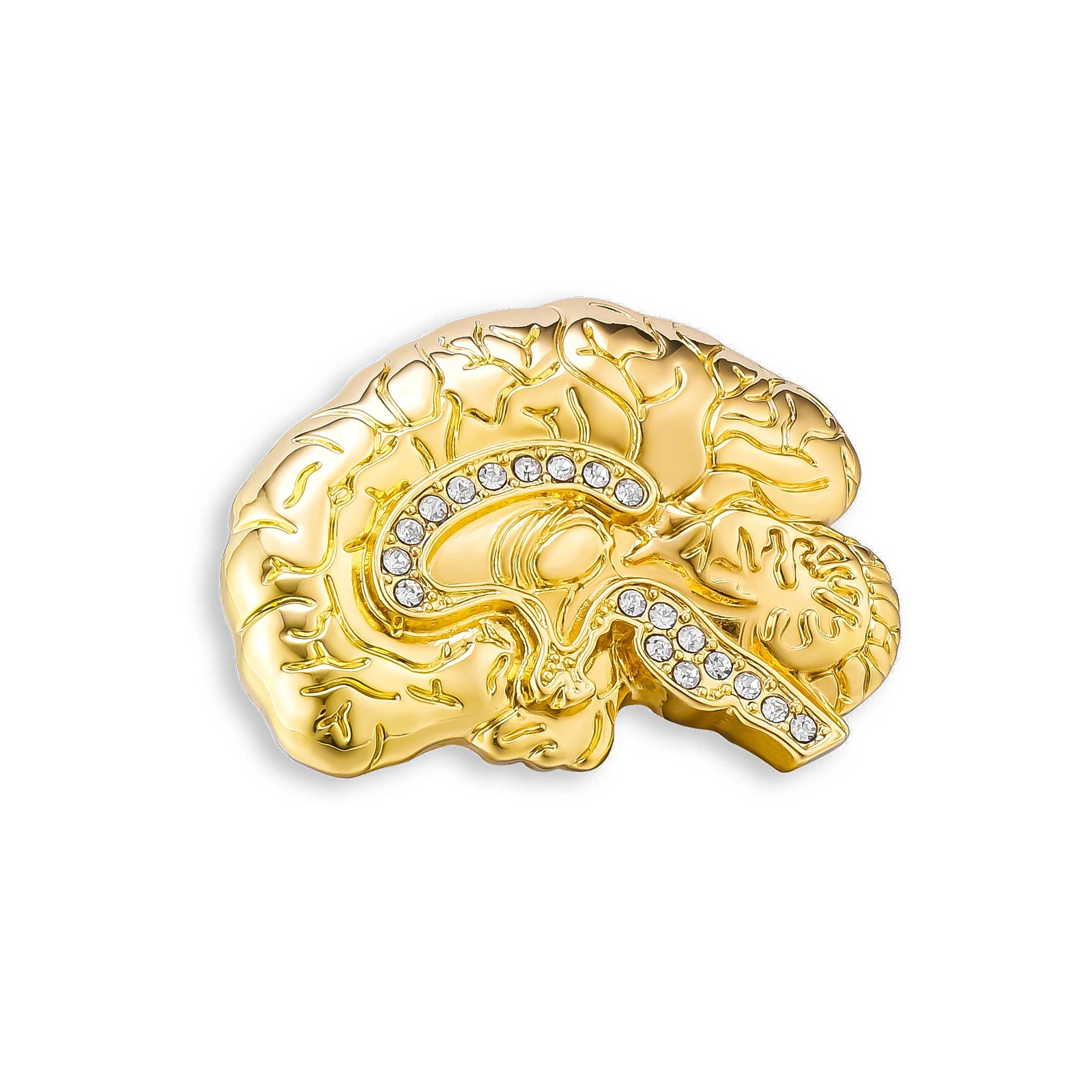 Harong Exquisite Brain Enamel Pins Brooch Medical Anatomy Cute Lapel Lanyard Bag Coat Badge Accessories Gift for Doctor Student
